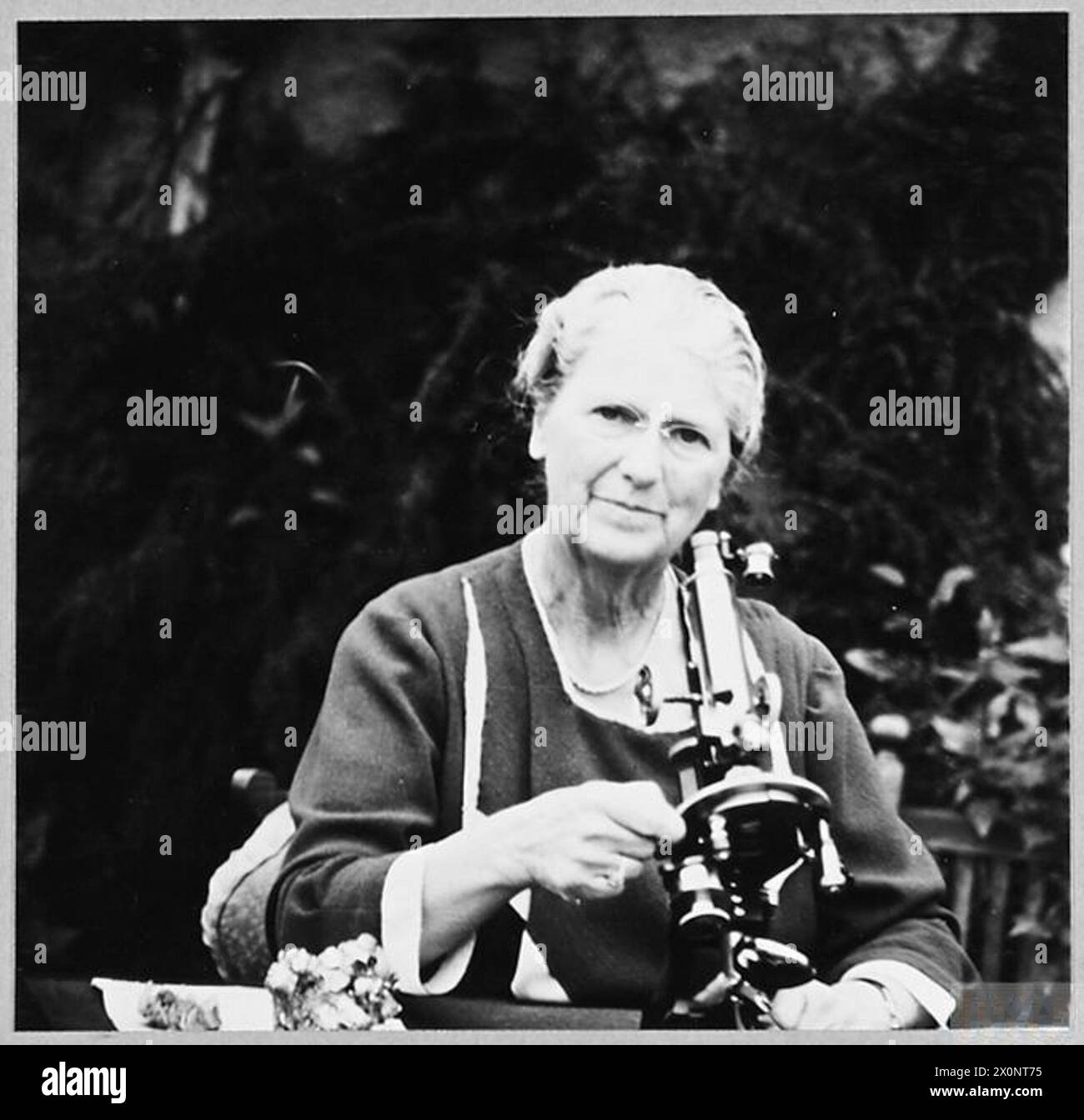 Lady MacRobert, membre des sociétés géologiques de Londres et Stockholm, examine des spécimens géologiques des frontières écossaises. Banque D'Images