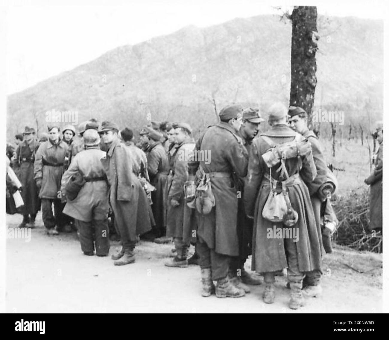 Quinze prisonniers de Cassino sont capturés par des chars néo-zélandais et de l'infanterie maorie lors des opérations du 19 mars, sous le commandement de la Cinquième armée. Banque D'Images