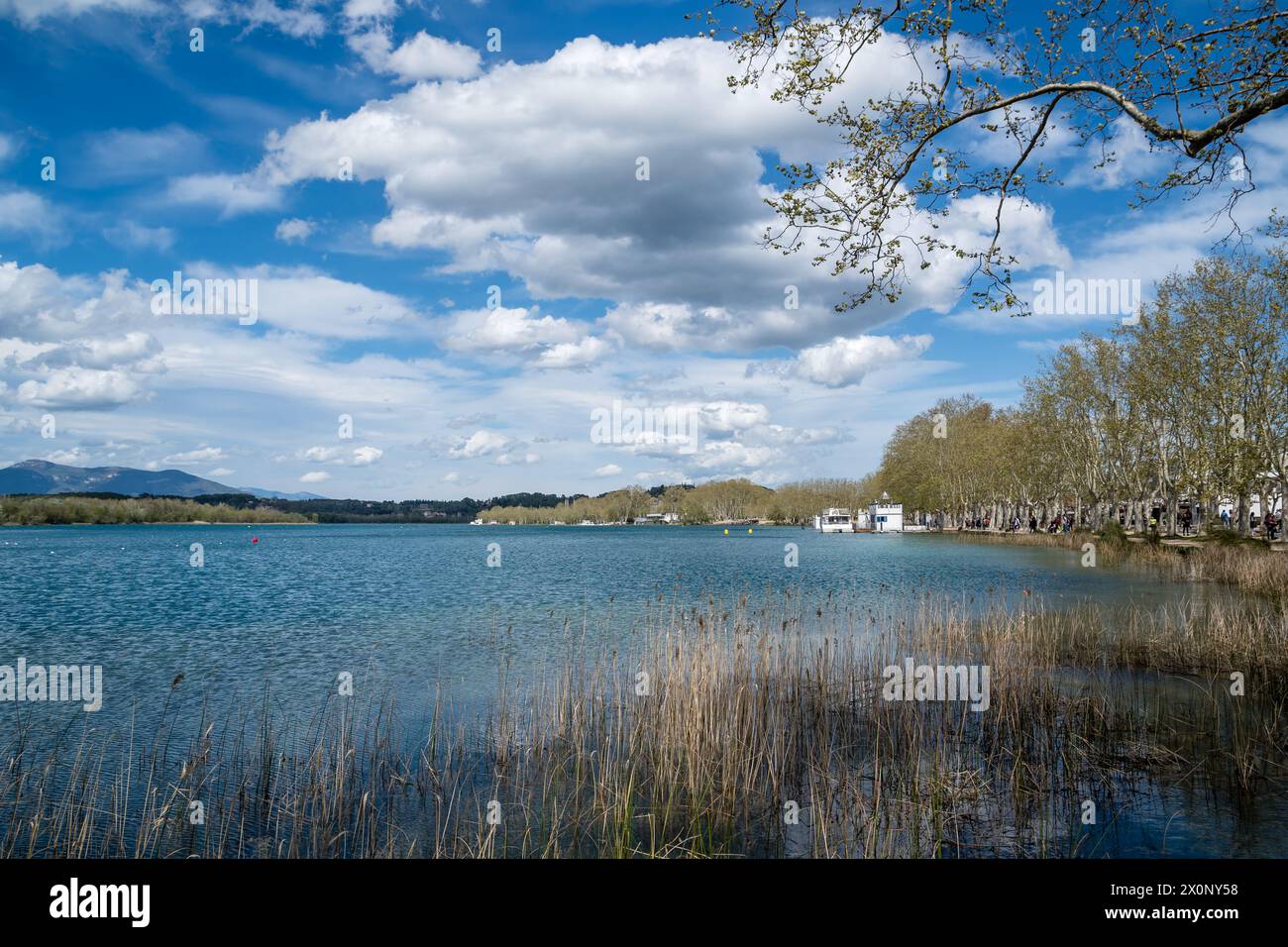 Lac de Banyoles, Banyoles, Catalogne, Espagne Banque D'Images