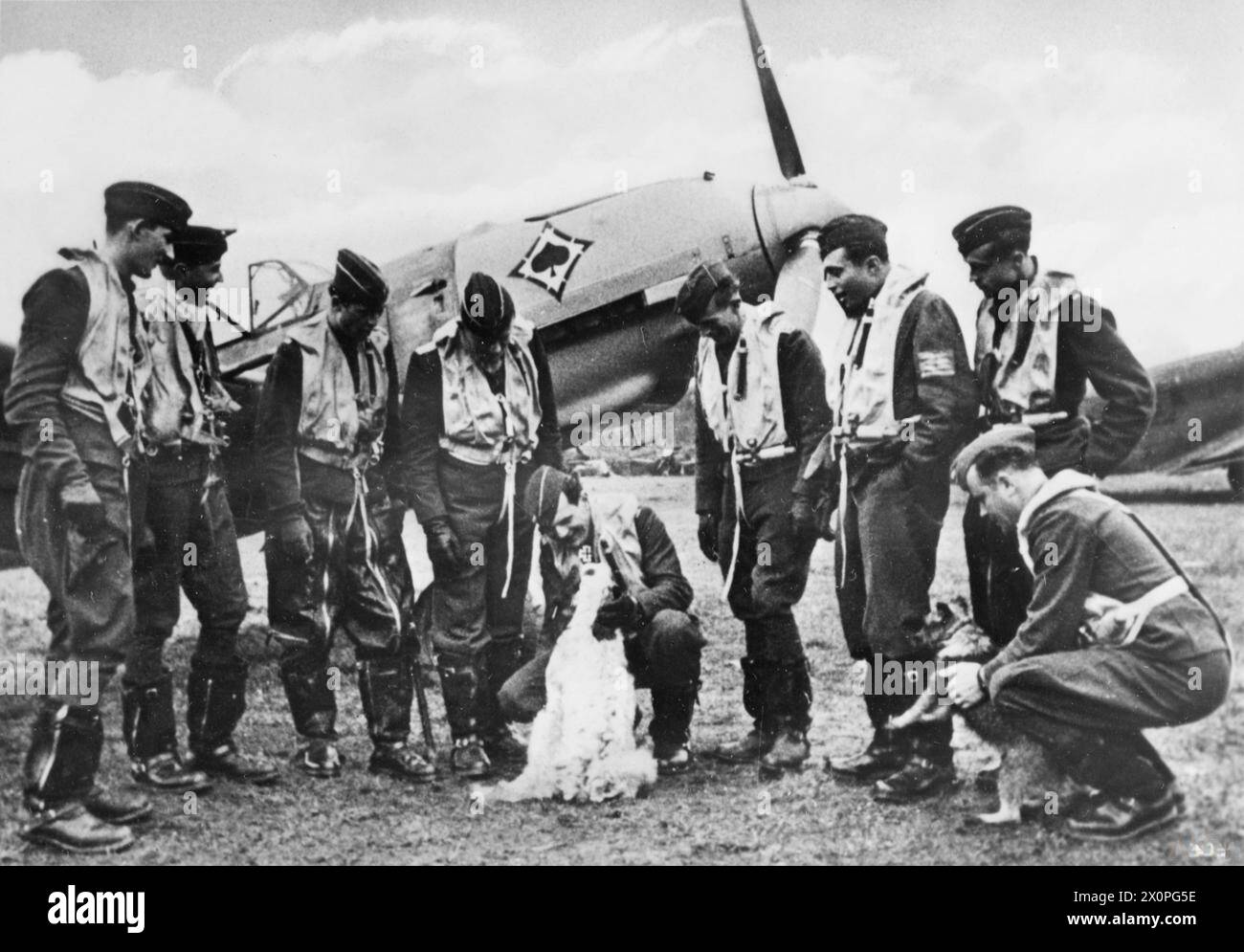 LA BATAILLE D'ANGLETERRE, JUILLET-NOVEMBRE 1940 - neuf pilotes de l'aile de chasse Pik-as de la Luftwaffe Jagdgeschwader 53 (JG 53) avec leurs chiens mascottes devant l'un de leurs Messerschmitt Bf 109, 1940 de l'armée de l'air allemande Banque D'Images