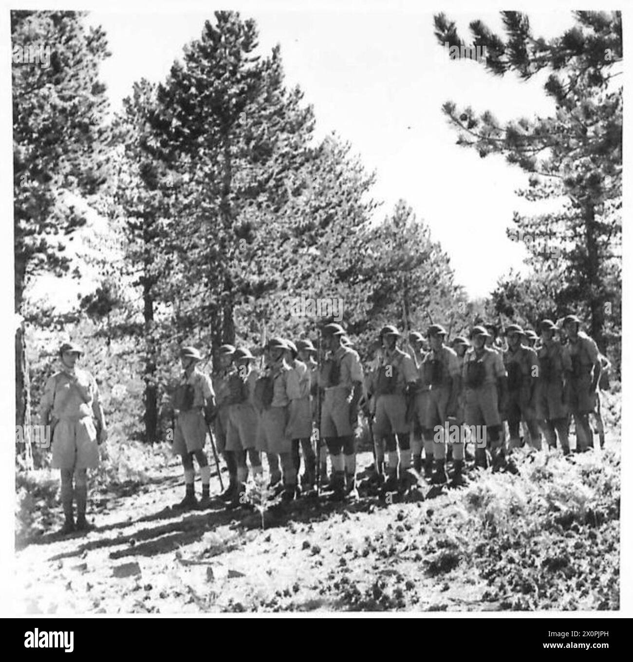 Un peloton forestier de la Force volontaire chypriote s'arrête parmi les pins lors d'une marche pour combattre un incendie de forêt, documentant l'intervention militaire d'urgence et le travail d'équipe. Négatif photographique de l'armée britannique. Banque D'Images Un peloton forestier de la Force volontaire chypriote s'arrête parmi les pins lors d'une marche pour combattre un incendie de forêt, documentant l'intervention militaire d'urgence et le travail d'équipe. Négatif photographique de l'armée britannique. Banque D'Images