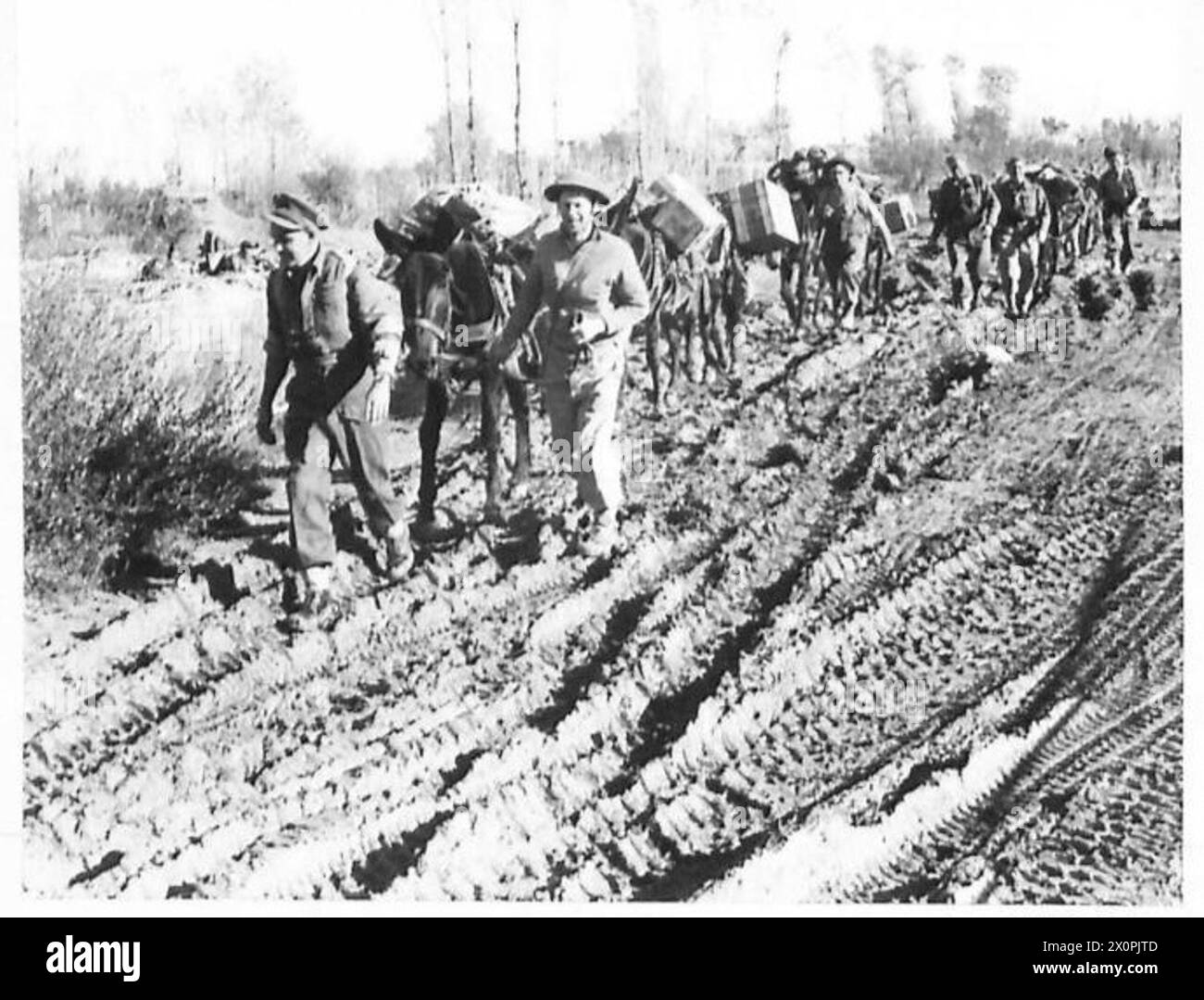 Les troupes néo-zélandaises de la 8e armée avancent au-dessus de la rivière Sangro, avec une équipe de mulets se déplaçant à travers le lit boueux de la rivière. Négatif photographique, armée britannique. Banque D'Images