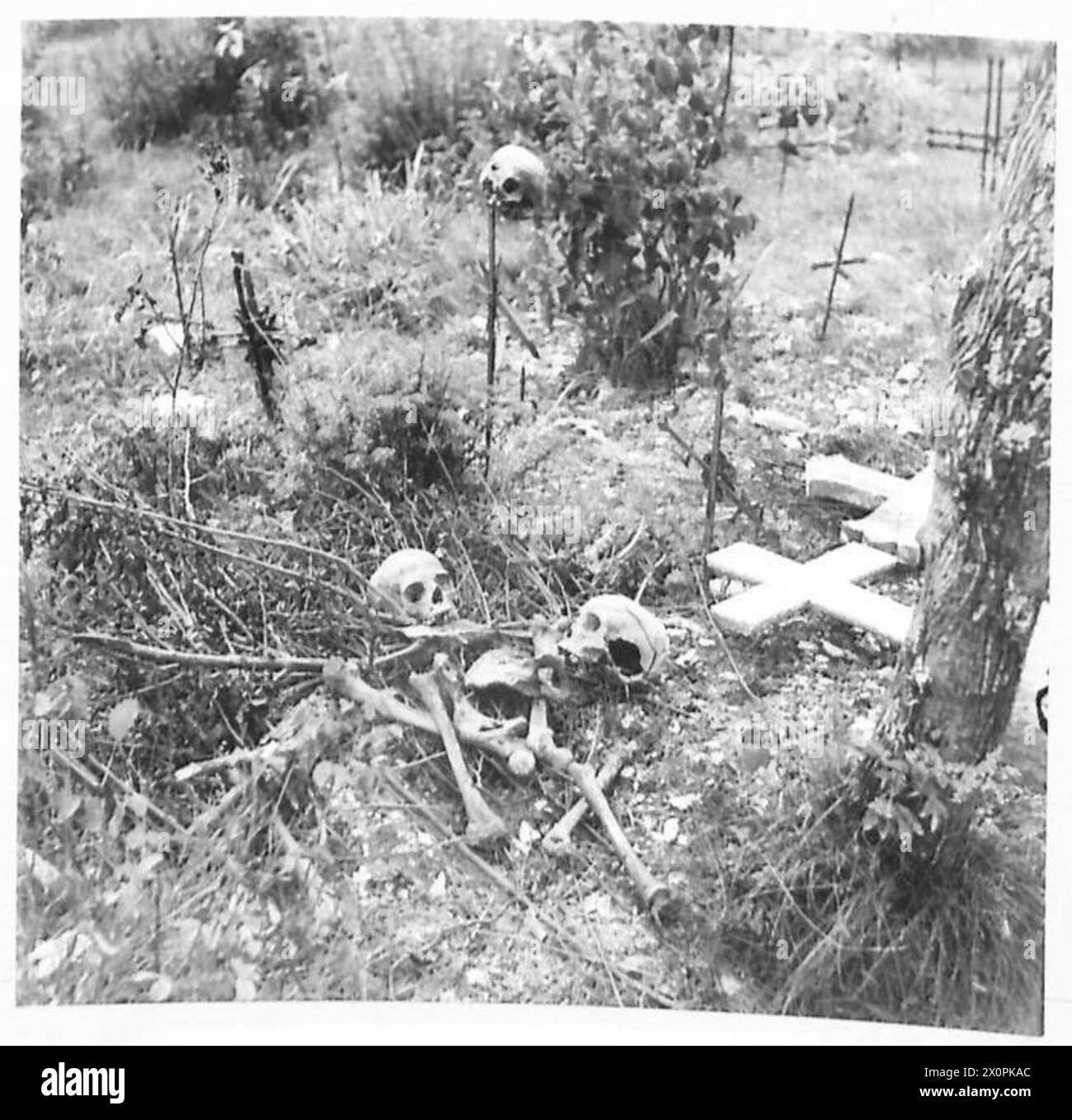 Des restes humains sont dispersés autour d'un cimetière à Vinchiaturo, avec un crâne placé sur une croix de fer par les forces allemandes. Négatif photographique, armée britannique. Banque D'Images