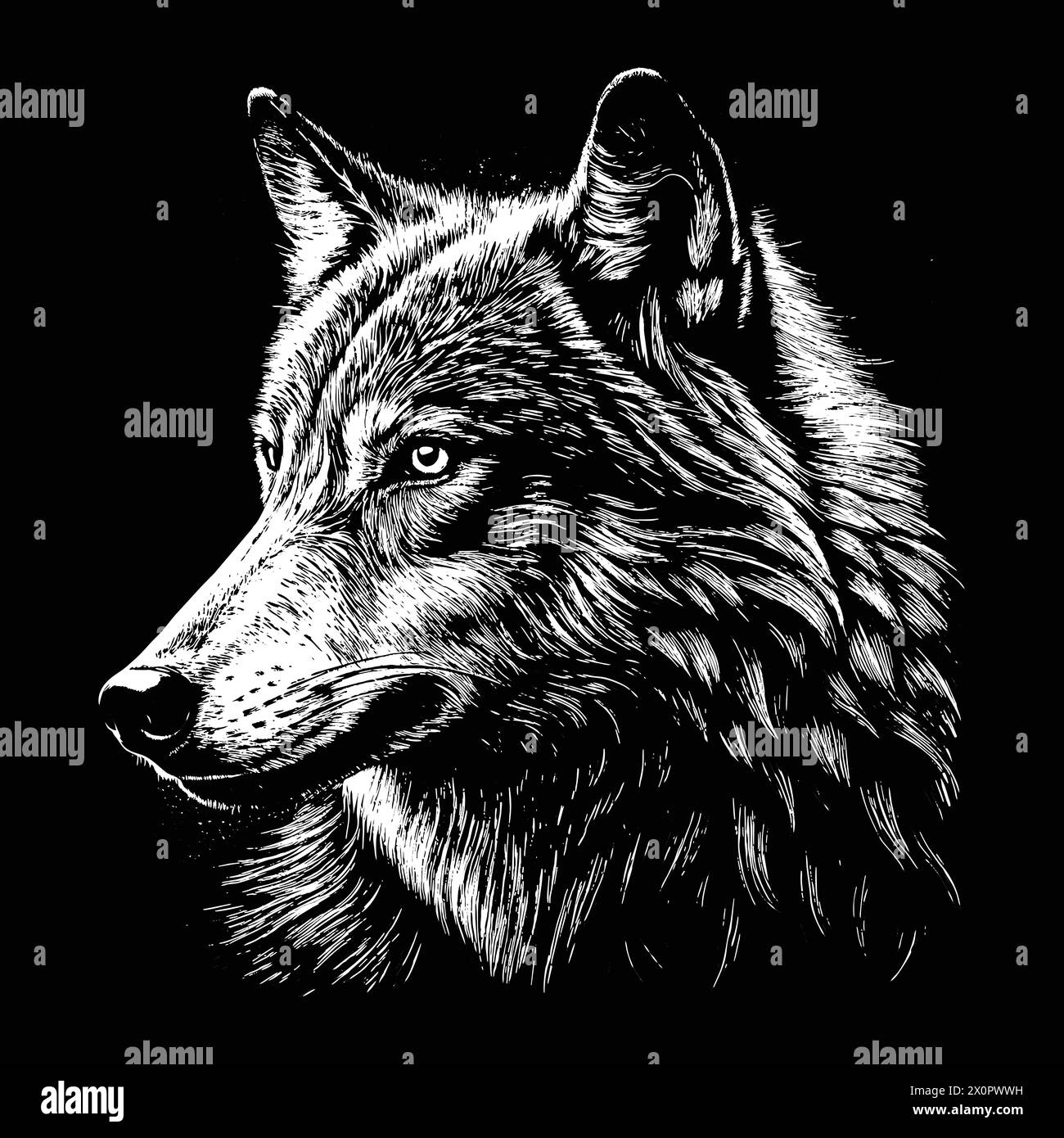 Portrait de la tête de loup-'Majestic Wolf Head Portrait : puissant gros plan sur la faune' Illustration de Vecteur
