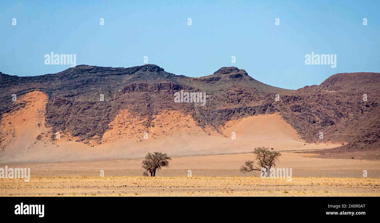 Sable orange et jaune s'étendant sur le flanc des montagnes dans la réserve de Namib Rand avec des arbres au premier plan. Banque D'Images