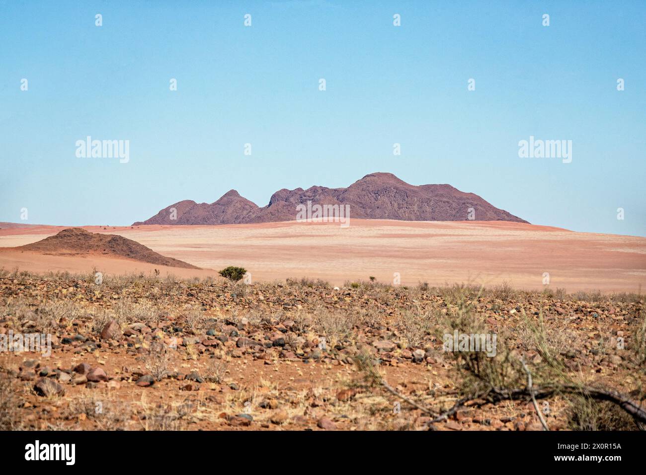 Regardant à travers les couleurs striées et discrètes de la plaine sablonneuse rand Namib vers les montagnes au loin. Banque D'Images