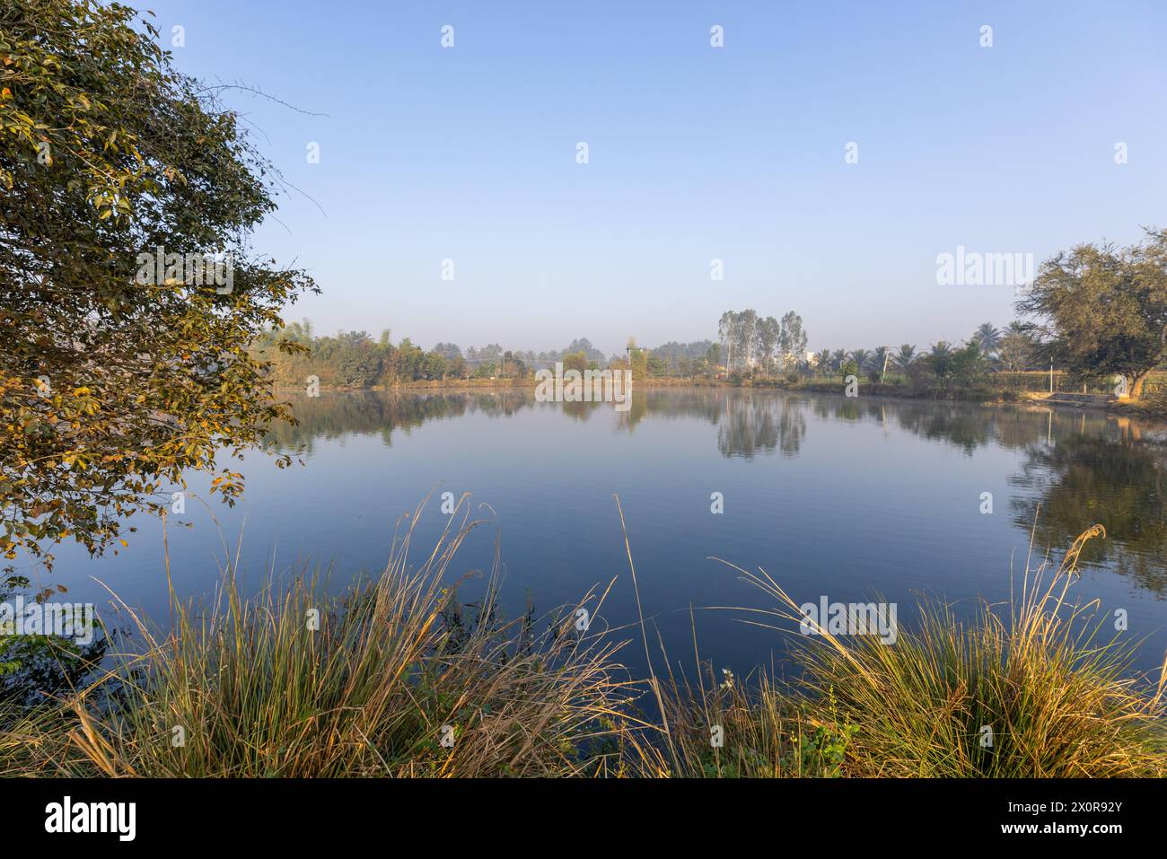 Belle vue sur un lac urbain à Bangalore, Inde (lac Kannamangala) Banque D'Images