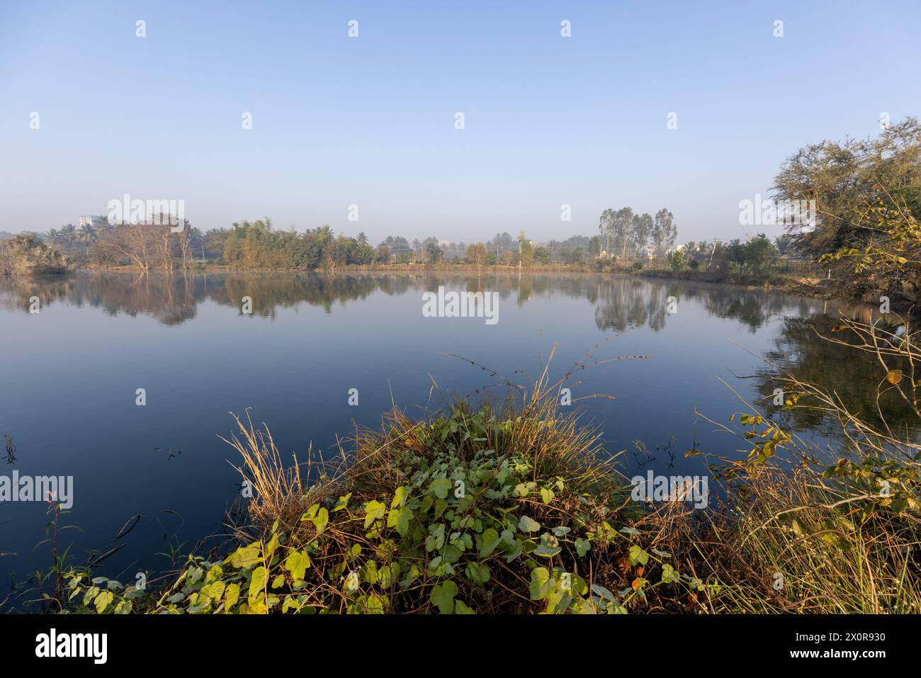 Belle vue sur un lac urbain à Bangalore, Inde (lac Kannamangala) Banque D'Images