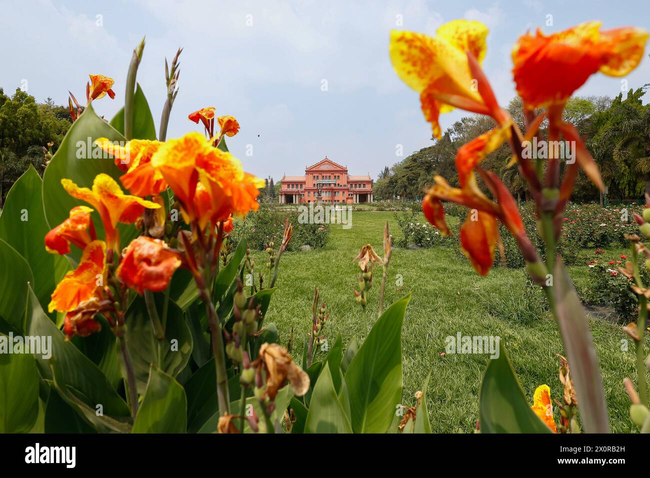 Vue lointaine de la Bibliothèque centrale de l'État dans Cubbon Park, Bangalore, Bengaluru, Karnataka, Inde Banque D'Images