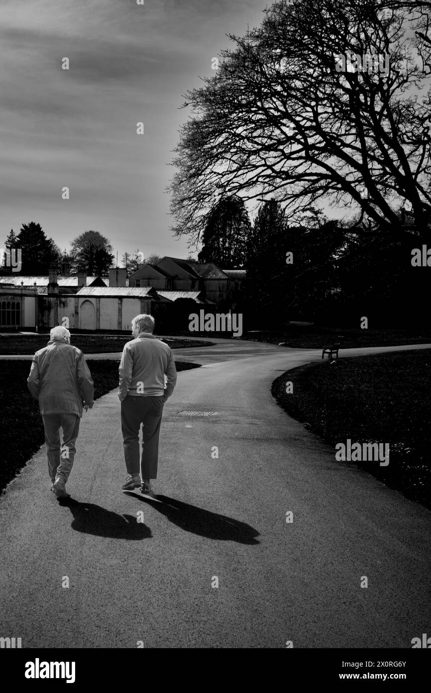 Vue arrière d'une plume et son fils marchant ensemble dans un parc au printemps, jetant une ombre sur le chemin sinueux. Noir et blanc contraste élevé. Famille. Banque D'Images