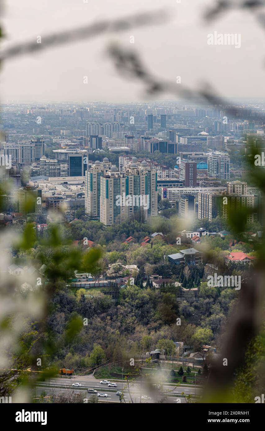 Vue sur les bâtiments de plusieurs étages et de faible hauteur à travers les branches des arbres en fleurs et des buissons dans le parc Kok tube. Paysage urbain Almaty, Kazakhstan. Banque D'Images Vue sur les bâtiments de plusieurs étages et de faible hauteur à travers les branches des arbres en fleurs et des buissons dans le parc Kok tube. Paysage urbain Almaty, Kazakhstan. Banque D'Images