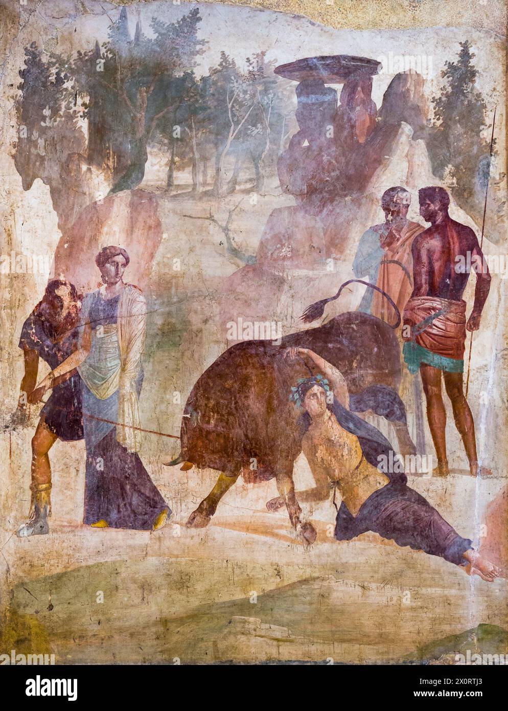 Dirce, lié aux cornes d'un taureau sauvage par Amphion et Zethus (en présence de leur mère Antiope), est puni pour avoir maltraité Antiope. Fresque antique de Pompéi. Banque D'Images