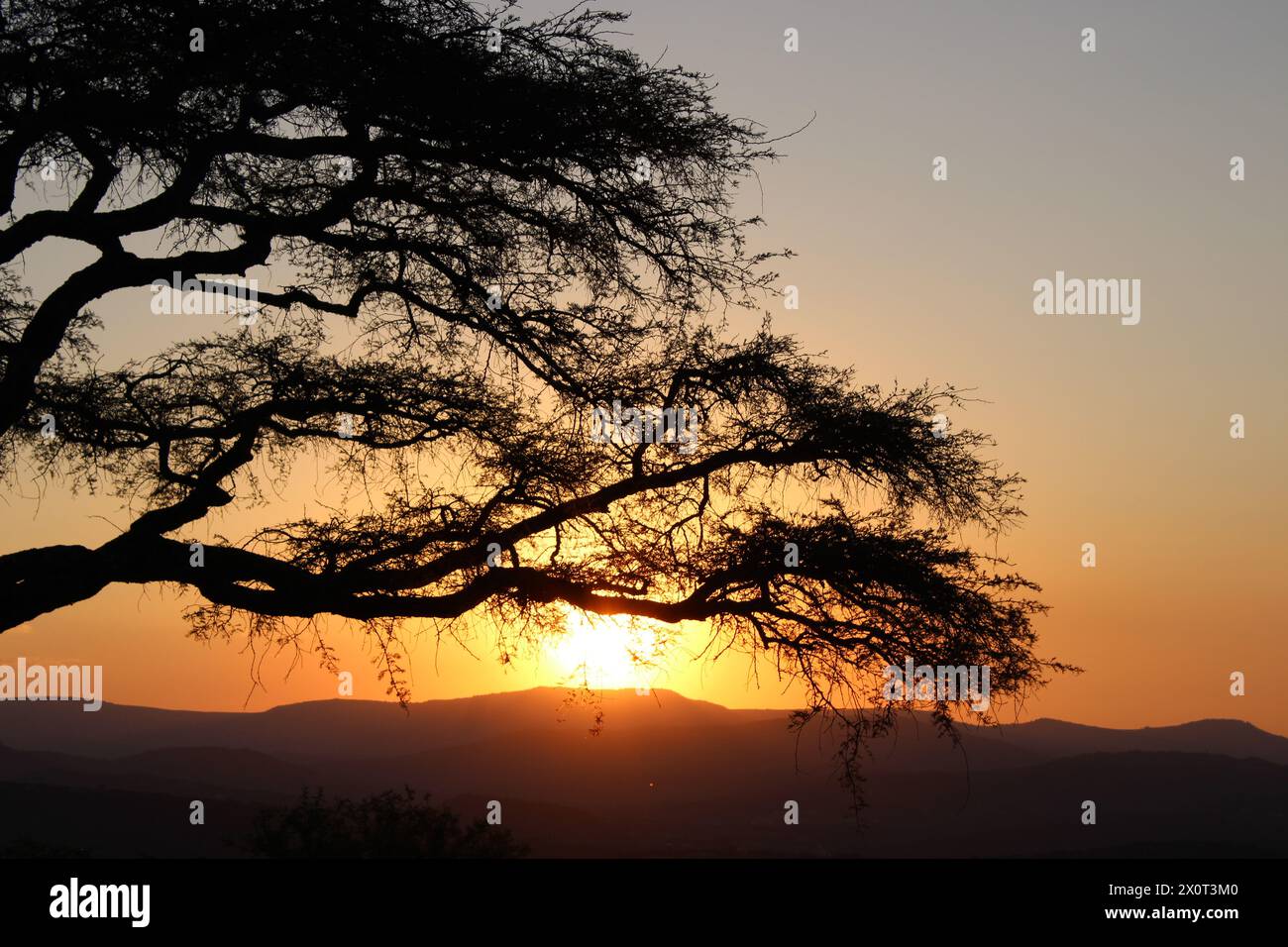 Magnifiques couchers de soleil africains pris dans le Lowveld Mpumalanga. Les teintes dorées et le ciel africain s'enflamment : explorez la magie du coucher de soleil au cœur de l'Afrique Banque D'Images