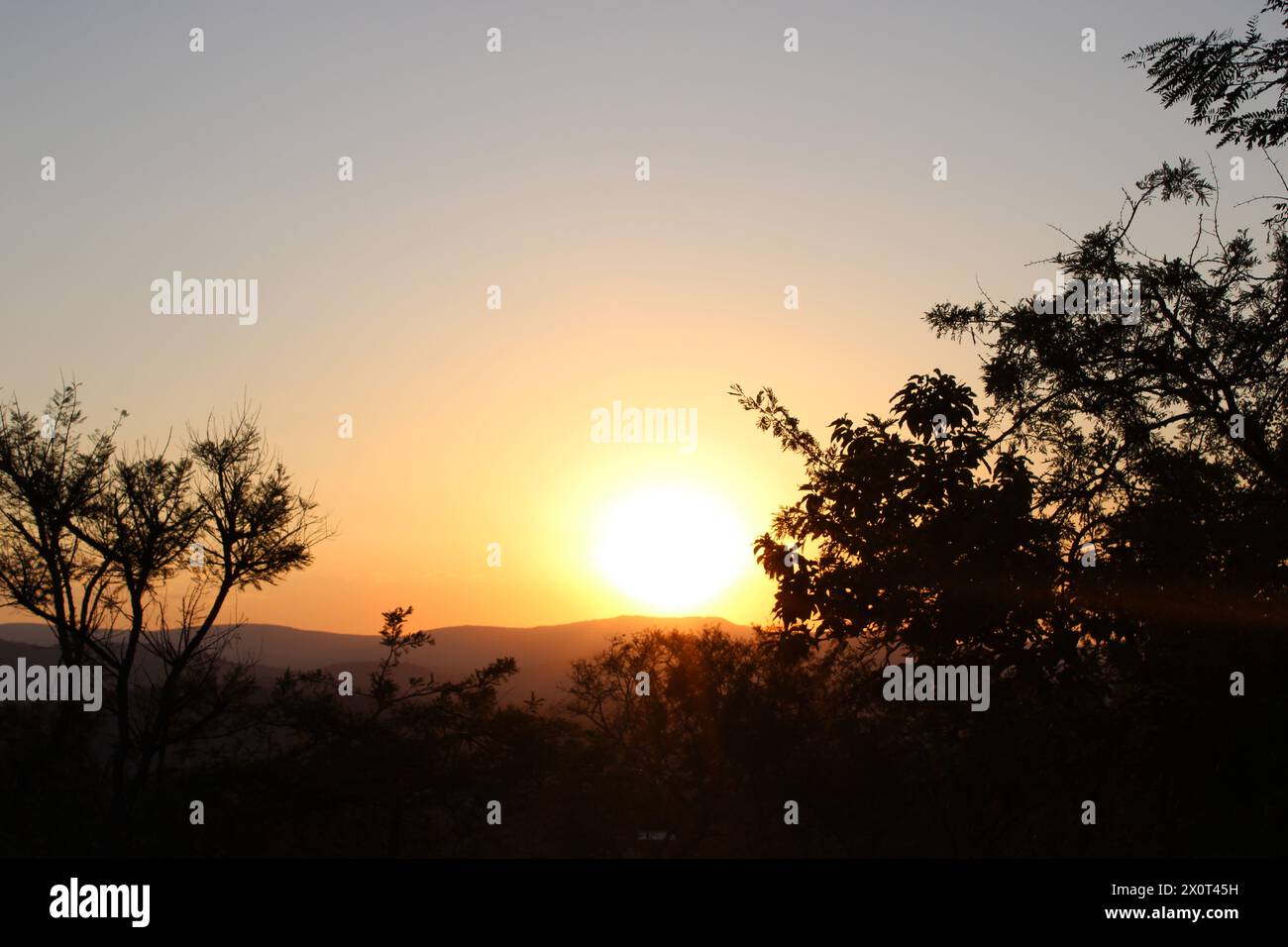 Magnifiques couchers de soleil africains pris dans le Lowveld Mpumalanga. Les teintes dorées et le ciel africain s'enflamment : explorez la magie du coucher de soleil au cœur de l'Afrique Banque D'Images