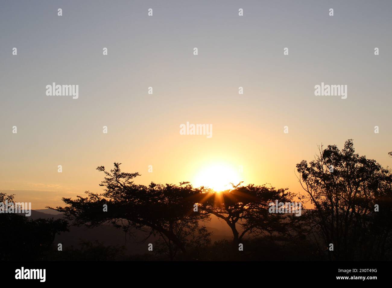 Magnifiques couchers de soleil africains pris dans le Lowveld Mpumalanga. Les teintes dorées et le ciel africain s'enflamment : explorez la magie du coucher de soleil au cœur de l'Afrique Banque D'Images