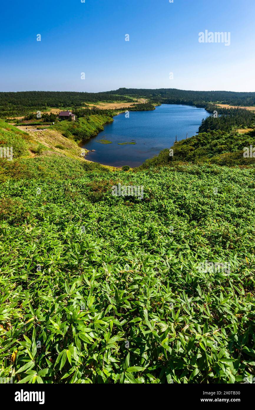 Mont Hachimantai, lac Hachiman numa (étang), matin, ville Hachimantai, Iwate, Japon, Asie de l'est, Asie Banque D'Images