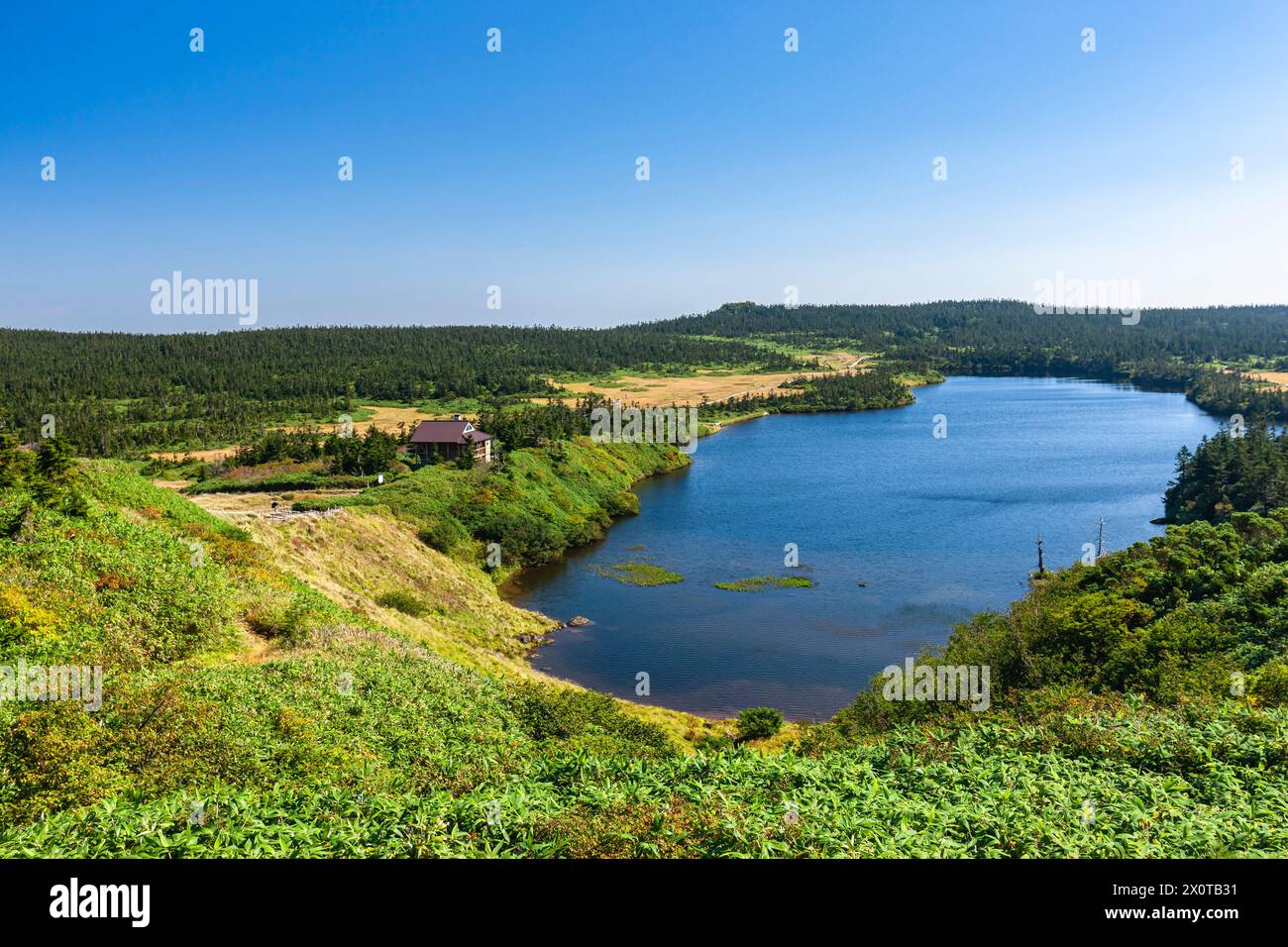 Mont Hachimantai, étang de Hachiman numa (lac), source chaude, matin, ville de Hachimantai, Iwate, Japon, Asie de l'est, Asie Banque D'Images