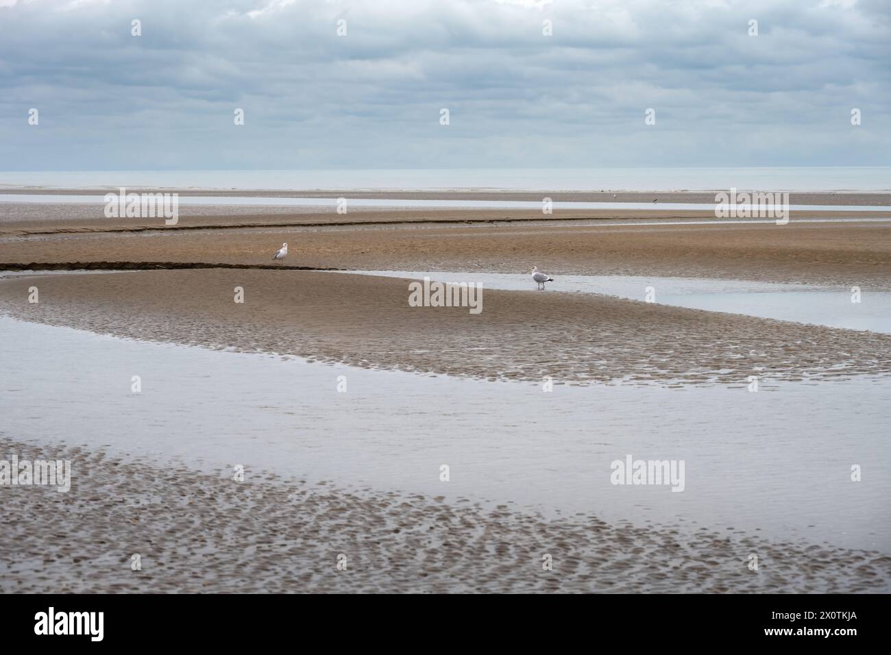 Cumber Sands un jour d'automne, vue sur la plage et la Manche, East Sussex, Angleterre Banque D'Images