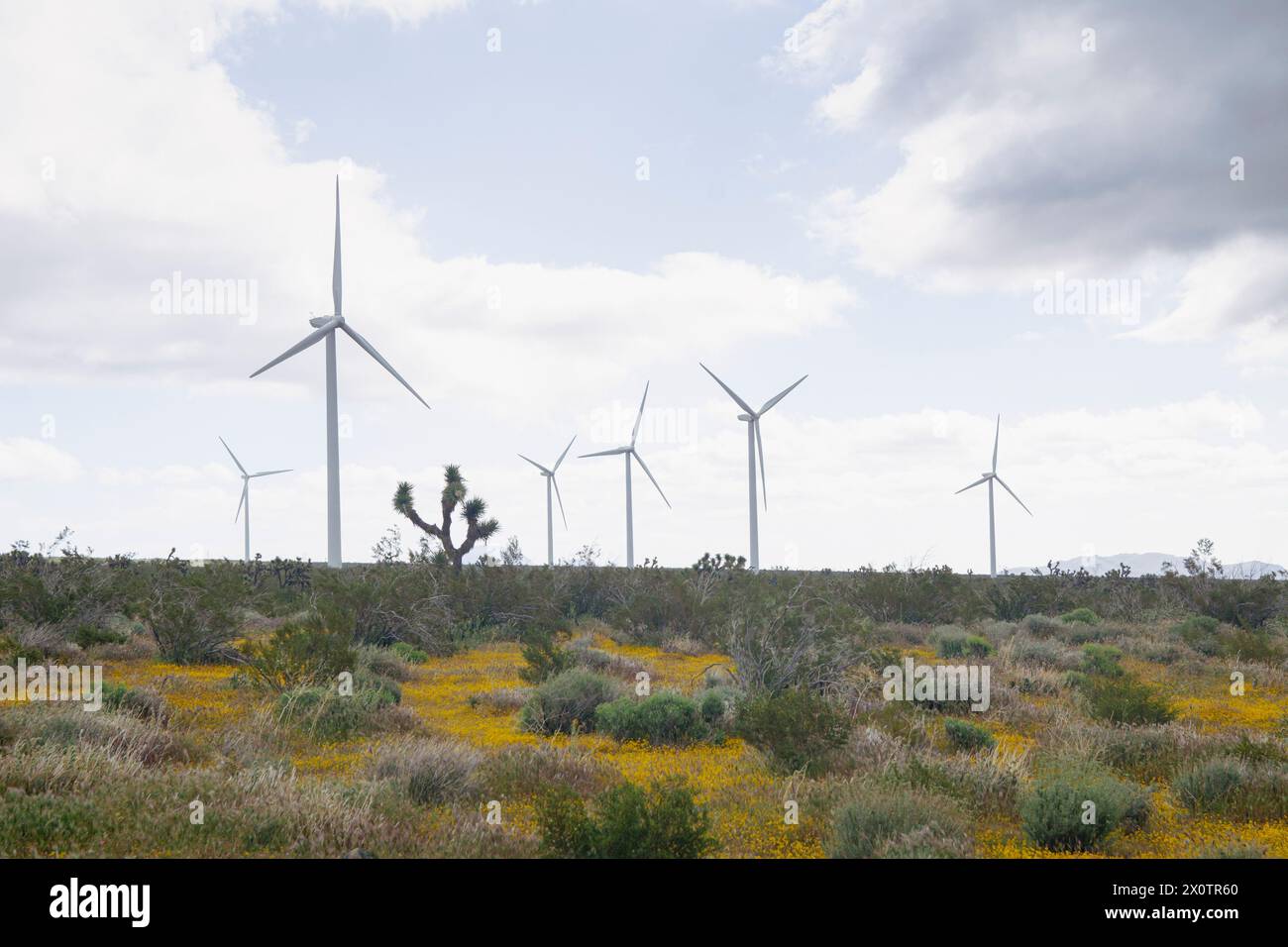 Éoliennes dans le haut désert de Mojave dans le comté de Kern, au nord-ouest de Lancaster, Californie. Banque D'Images