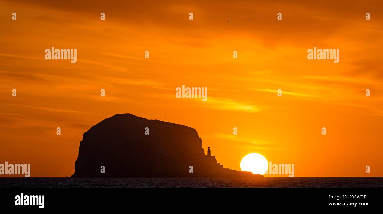 Firth of Forth, Écosse, Royaume-Uni, 14 avril 2024. Météo Royaume-Uni : lever du soleil sur le Bass Rock. À cette époque de l'année, il est possible d'obtenir une vue du soleil se levant derrière la colonie de canneurs de la côte est du Lothian contre un ciel orange brillant. Crédit : Sally Anderson/Alamy Live News Banque D'Images