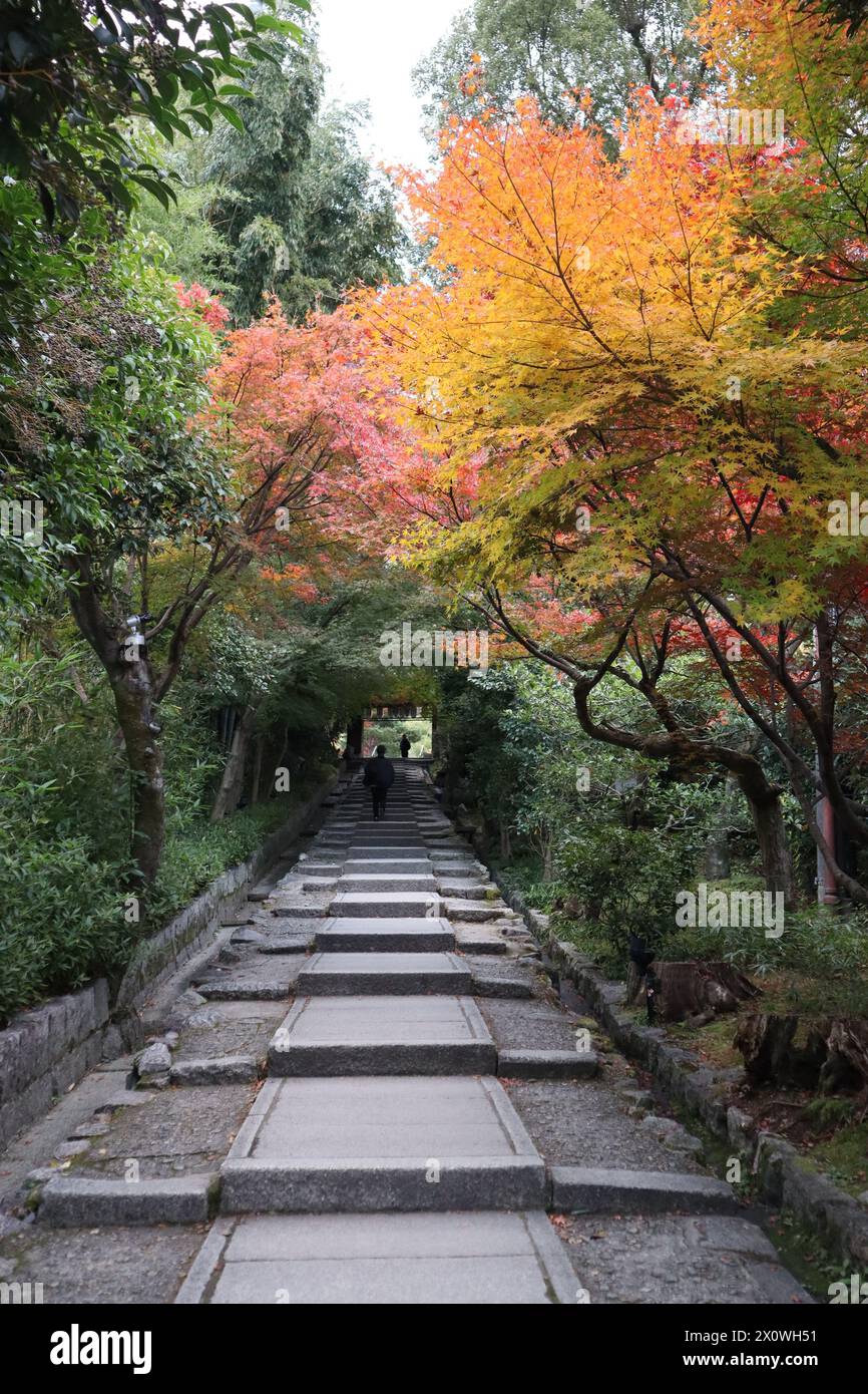 Pente Daidokoro-Zaka et feuilles d'automne dans le temple Kodaiji, Kyoto, Japon Banque D'Images