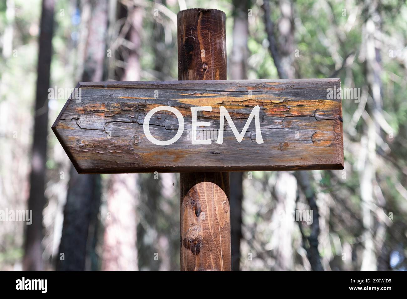 Concept de fabricant d'équipement d'origine OEM. Texte sur un panneau en bois sur fond de forêt Banque D'Images