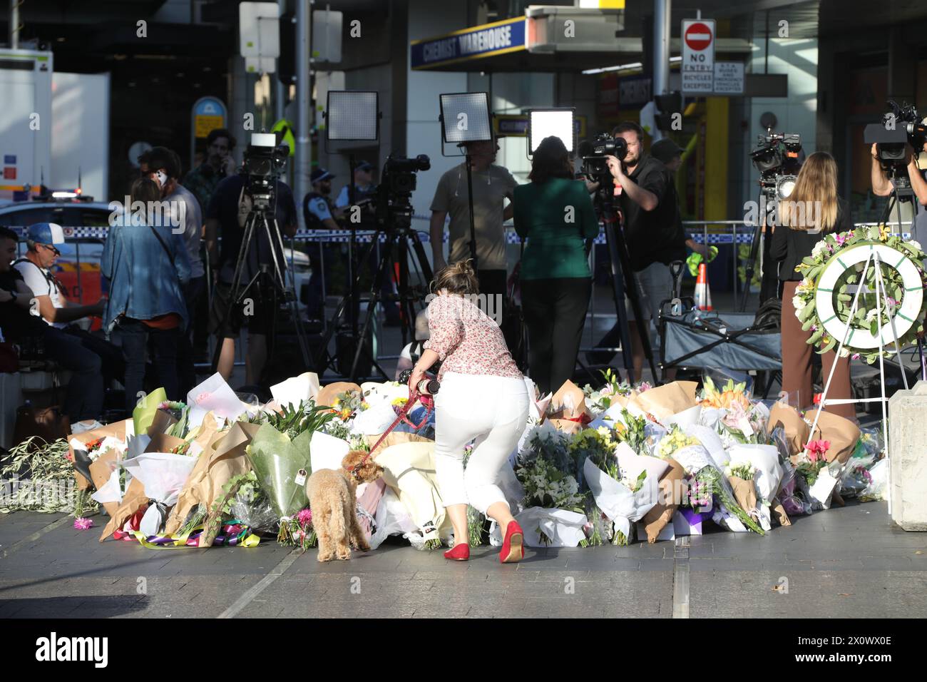 Sydney, Australie. 14 avril 2024. La scène de crime de Westfield Bondi Junction est toujours fermée par la police et les gens laissent des fleurs dans le centre commercial en face après qu'un attaquant au couteau malade mental, Joel Cauchi, 40 ans, a fait un saccage tuant 6 personnes. Crédit : Richard Milnes/Alamy Live News Banque D'Images