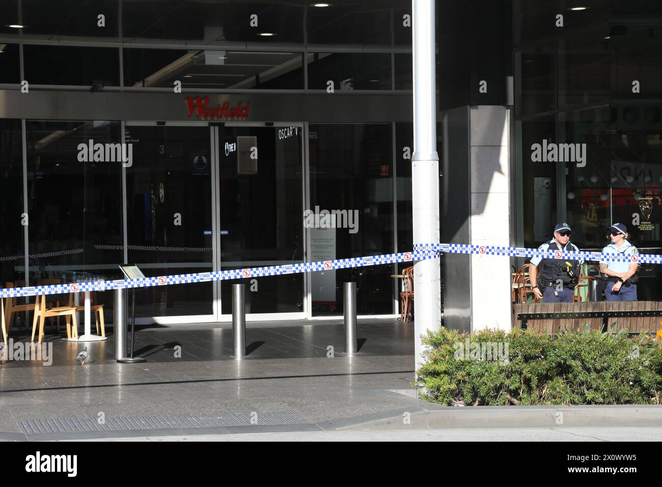 Sydney, Australie. 14 avril 2024. La scène de crime de Westfield Bondi Junction est toujours fermée par la police et les gens laissent des fleurs dans le centre commercial en face après qu'un attaquant au couteau malade mental, Joel Cauchi, 40 ans, a fait un saccage tuant 6 personnes. Crédit : Richard Milnes/Alamy Live News Banque D'Images