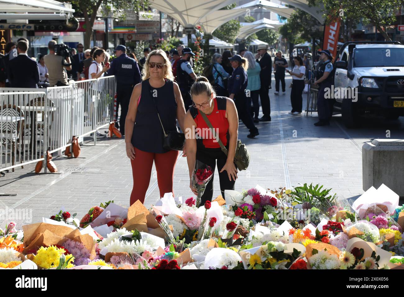 Sydney, Australie. 14 avril 2024. La scène de crime de Westfield Bondi Junction est toujours fermée par la police et les gens laissent des fleurs dans le centre commercial en face après qu'un attaquant au couteau malade mental, Joel Cauchi, 40 ans, a fait un saccage tuant 6 personnes. Crédit : Richard Milnes/Alamy Live News Banque D'Images