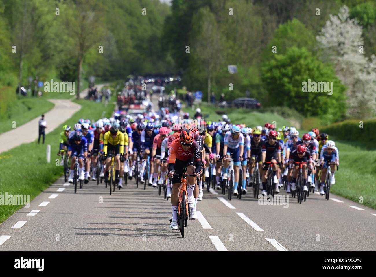 Valkenburg, pays-Bas. 14 avril 2024. Les coureurs d'INEOS Grenadiers mènent le peloton des coureurs lors de la course cycliste d'élite masculine 'Amstel Gold Race' d'une journée, 253, à 6 km de Maastricht à Valkenburg, pays-Bas, dimanche 14 avril 2024. BELGA PHOTO DIRK WAEM crédit : Belga News Agency/Alamy Live News Banque D'Images