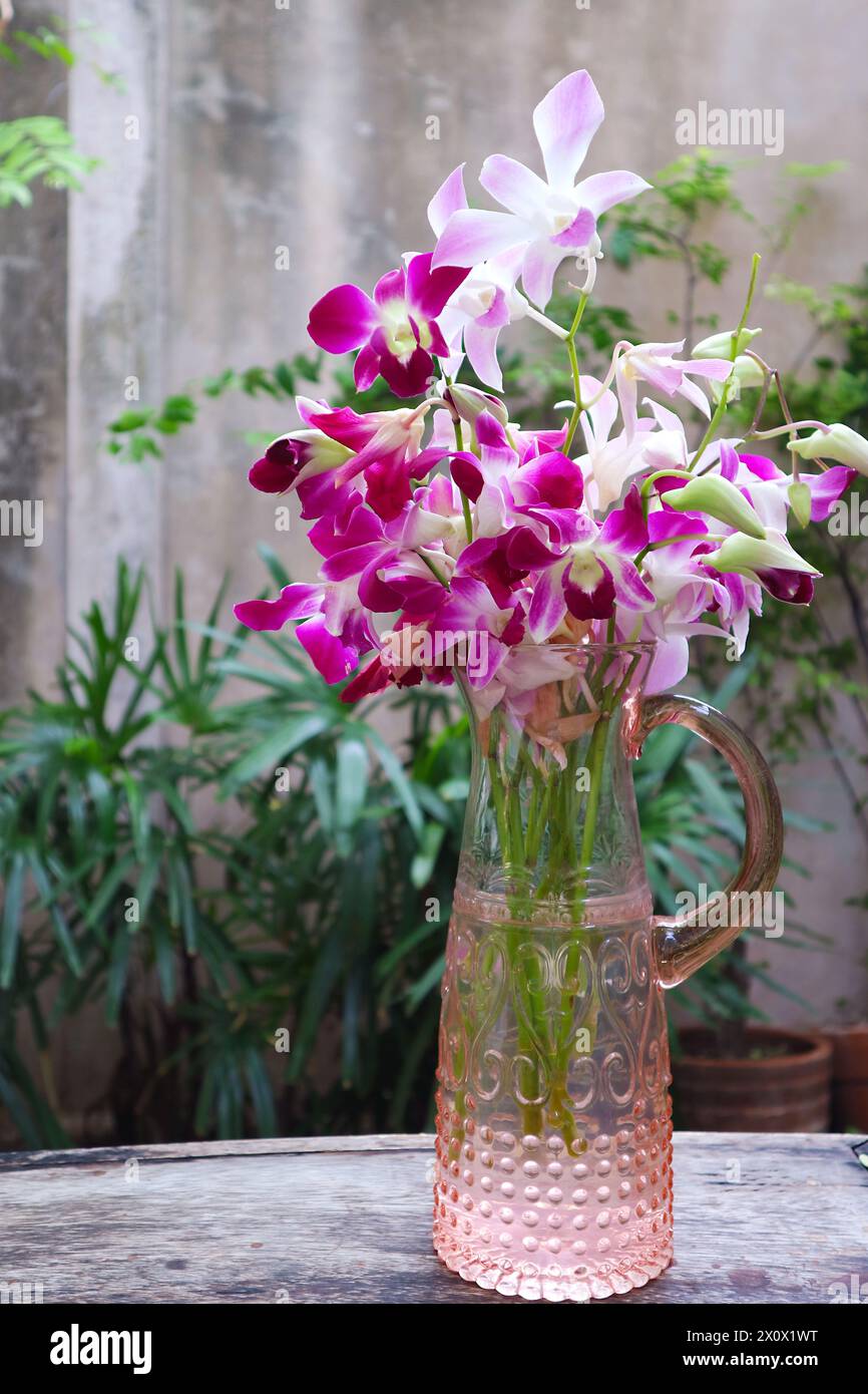 Bouquet de fleurs d'orchidée de Dendrobium rose pourpre dans un vase en verre Banque D'Images