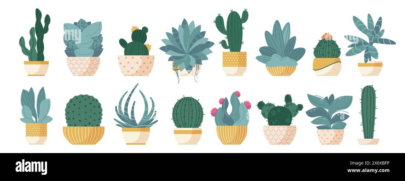 Succulent en pot de fleurs. Cactus de dessin animé dans des pots avec des fleurs, plantes vertes du désert dans des récipients vintage pour la décoration intérieure. Ensemble isolé de vecteur Illustration de Vecteur