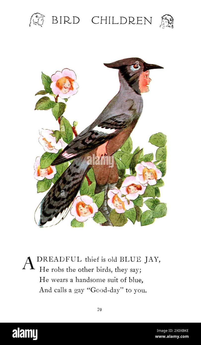 Bird Children - les petits compagnons de jeu des enfants de fleurs par Elizabeth Gordon. Dessins de Marion T. Ross - 1912 - Blue Jay Banque D'Images