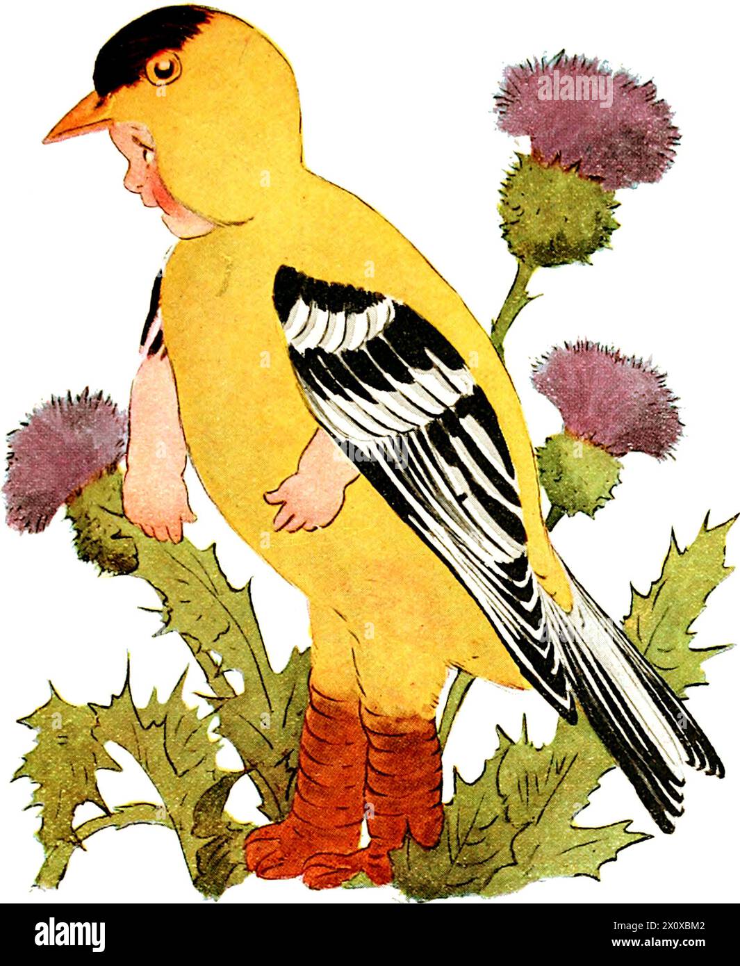 Bird Children - les petits compagnons de jeu des enfants de fleurs par Elizabeth Gordon. Dessins de Marion T. Ross - 1912 - Goldfinch - Whimsical Banque D'Images