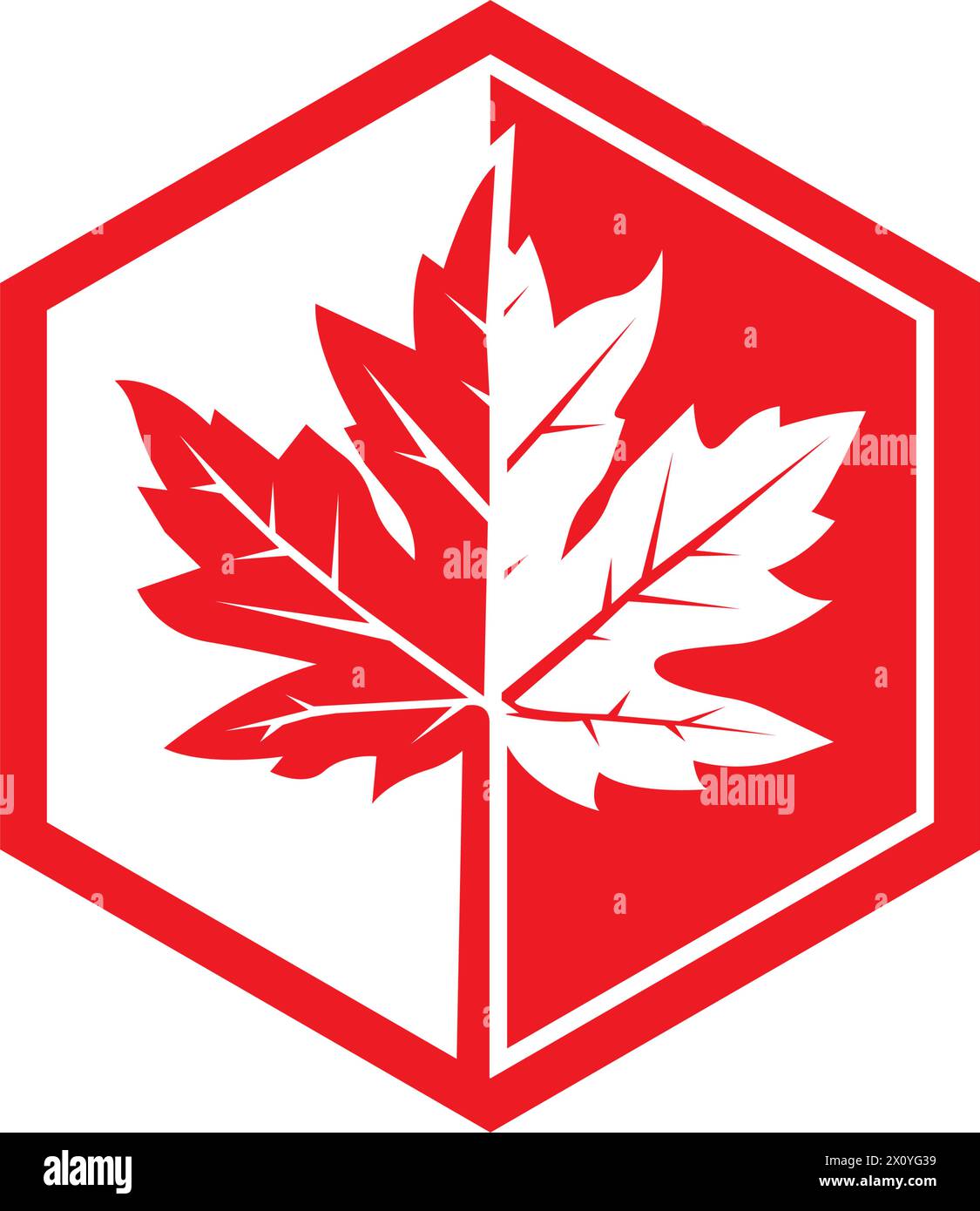 icône d'une feuille d'érable. illustration raster, modèle de logo d'arrière-plan. Illustration de Vecteur