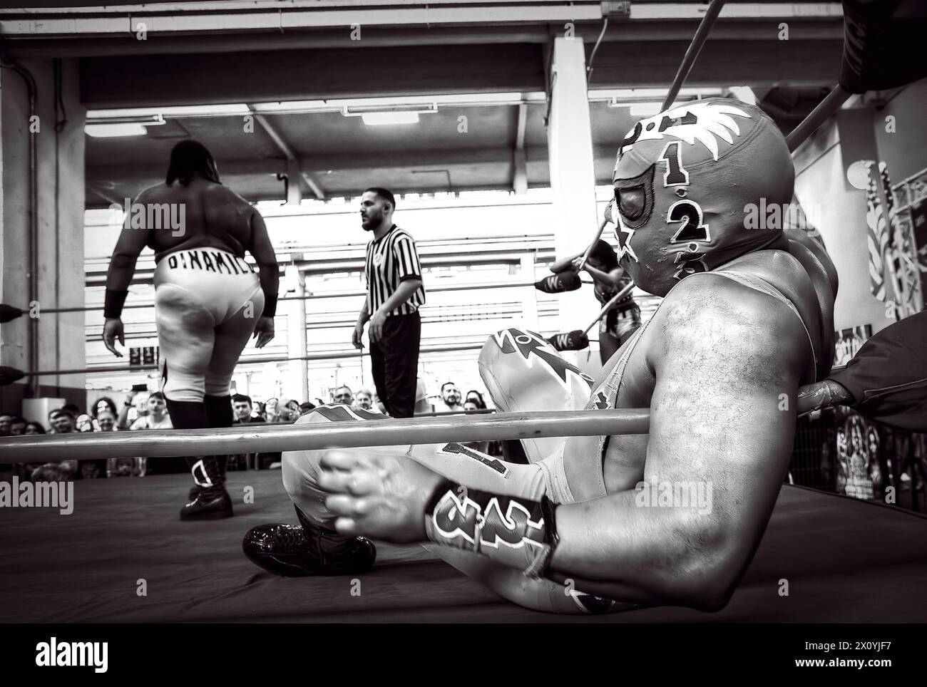 Italie Piémont Turin Ligotto Fair XXVIII édition de Torino Comics - champions de la Superstar de la lutte italienne crédit : Realy Easy Star/Alamy Live News Banque D'Images