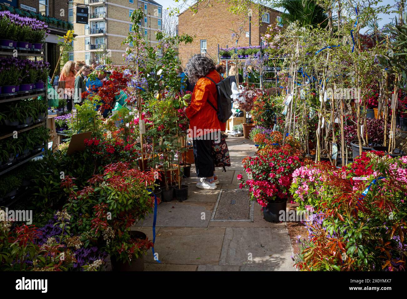 Columbia Road Flower Market London - un marché très populaire le dimanche dans l'est de Londres Banque D'Images