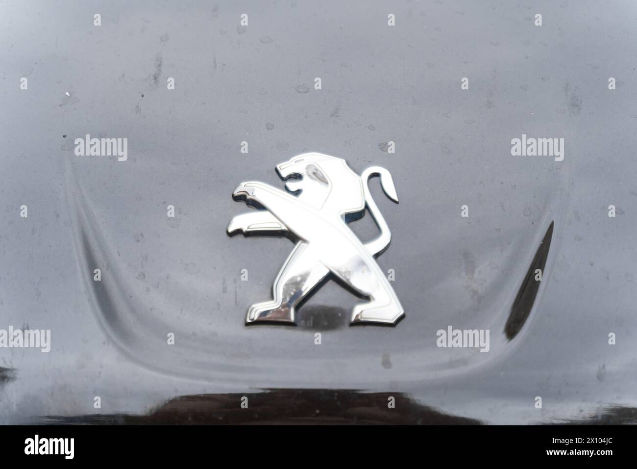 Bobruisk, Biélorussie - 24 septembre 2023 : logo de l'entreprise automobile - Peugeot sur une voiture. Banque D'Images