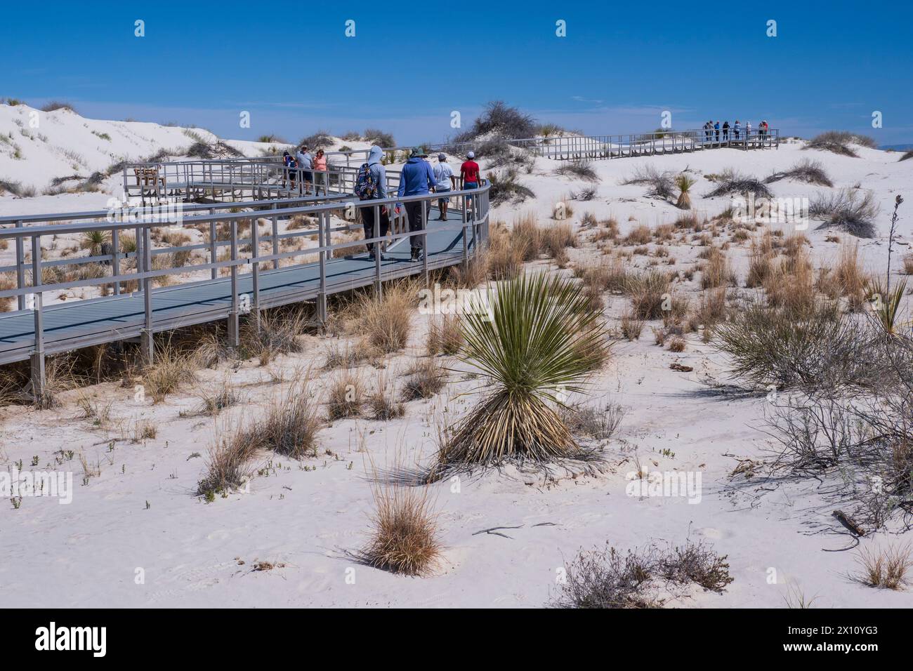 Interdune Boardwalk, White Sands National Park, Alamogordo, Nouveau-Mexique. Banque D'Images