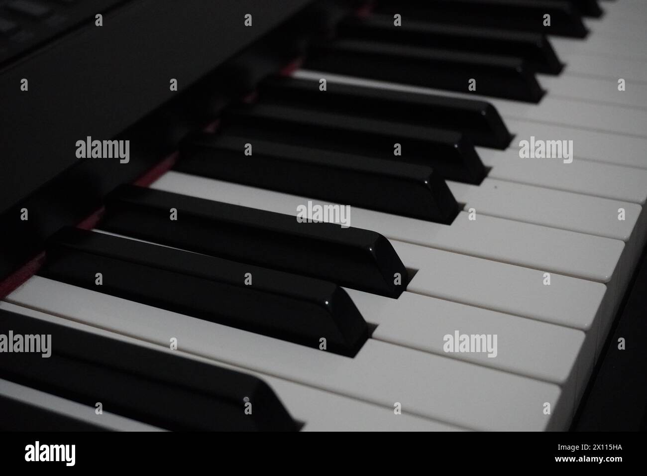 Le noir et blanc touches piano close up Banque D'Images