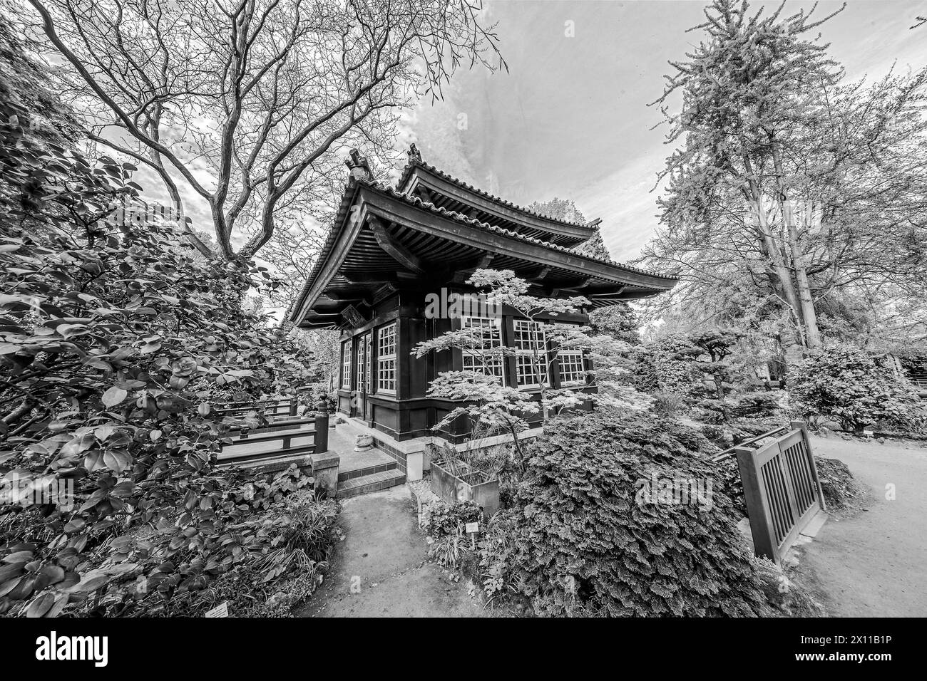 14.04.2024. Köln/Leverkusen. Der Japanische Garten im Kölner Stadtteil Flittard am Stadtrand von Leverkusen ist ein Park innerhalb des Carl-Duisberg-Parks auf dem Industriegelände Chempark Leverkusen der Bayer AG. Hier Teehaus. Köln Leverkusen Japanischer Garten Nordrhein-Westfalen Deutschland *** 14 04 2024 Cologne Leverkusen le jardin japonais situé dans le quartier de Flittard à Cologne, à la périphérie de Leverkusen, est un parc situé dans le parc Carl Duisberg sur le site industriel de Bayer AG Chempark Leverkusen ici Tea House Cologne Leverkusen jardin japonais Nord Rhin-Westphalie Allemagne Banque D'Images