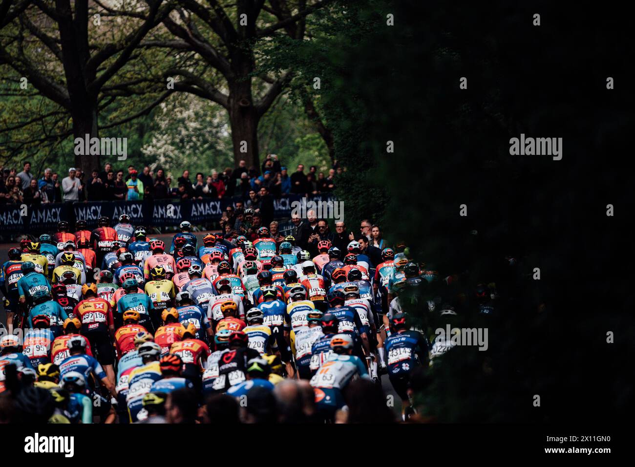 Valkenberg, pays-Bas. 14 avril 2024. Photo par Zac Williams/SWpix.com - 14/04/2024 - cyclisme - Amstel Gold Race 2024 - le peloton. Crédit : SWpix/Alamy Live News Banque D'Images