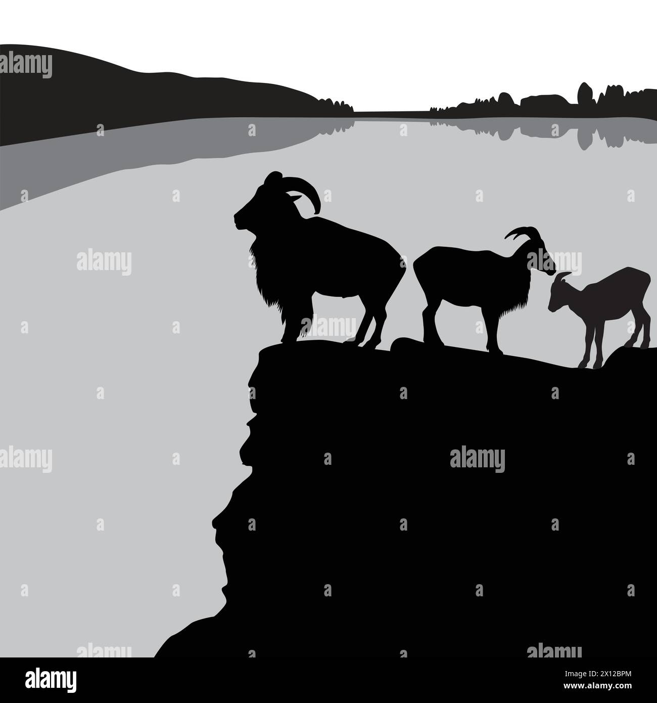 Troupeau de moutons de barbarie sur une colline rocheuse Illustration de Vecteur