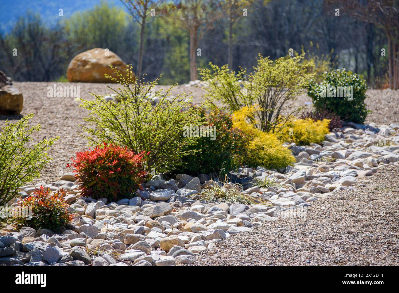 Un jardin de rocaille présentant une variété d'arbustes au feuillage vibrant Banque D'Images