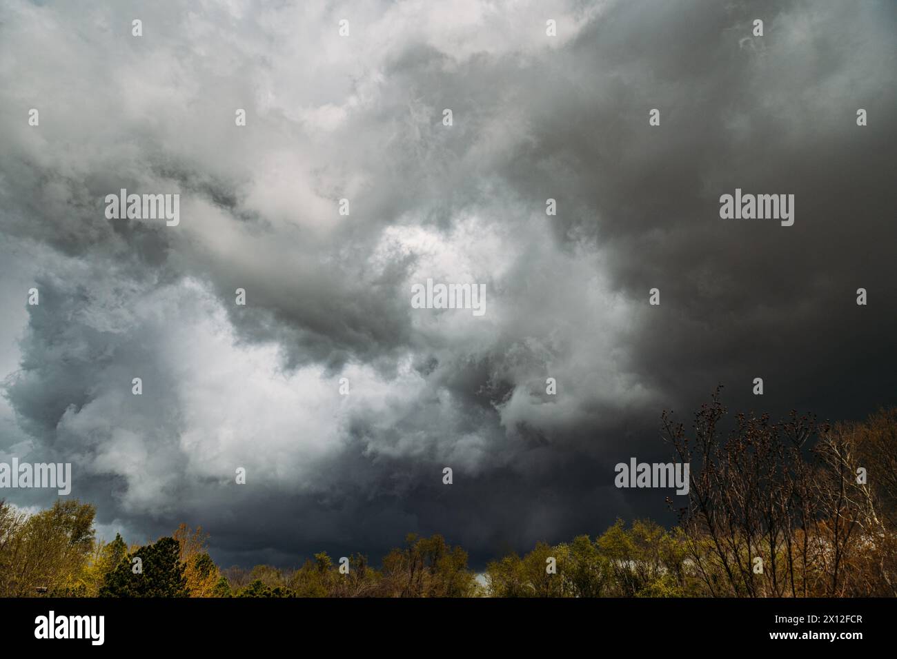 De sombres nuages orageux se profilent au-dessus de l'horizon bordé d'arbres Banque D'Images