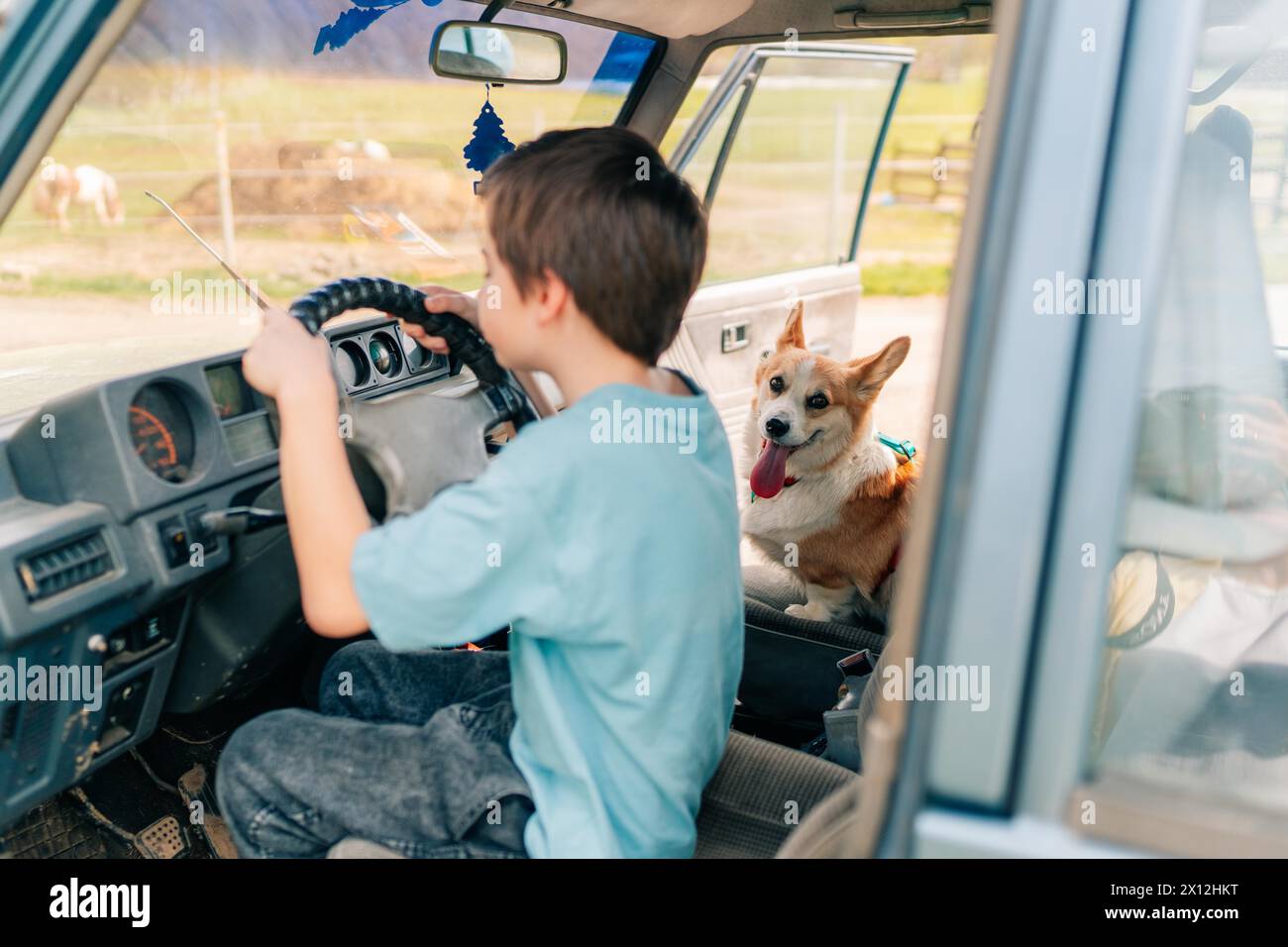 adolescent et chien corgi conduisant la voiture de son père, apprenant à conduire Banque D'Images