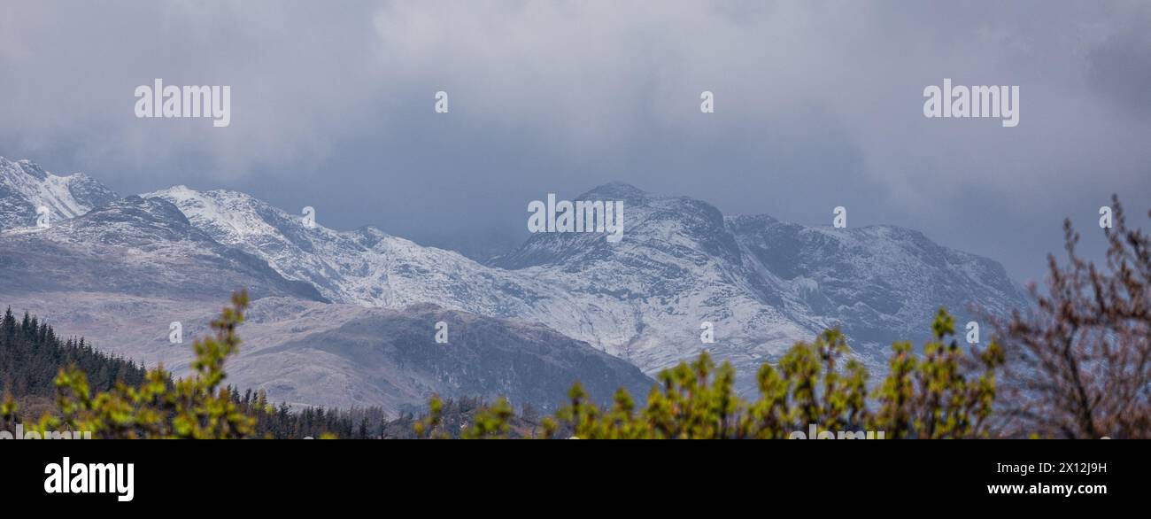 Cumbria, Royaume-Uni. 15 avril 2024. UK Weather.dépoussiérage de neige sur les hautes hauteurs au-dessus et autour du lac Windermere, Cumbria du Sud, le Lake District . Crédit : Gordon Shoosmith/Alamy Live News Banque D'Images