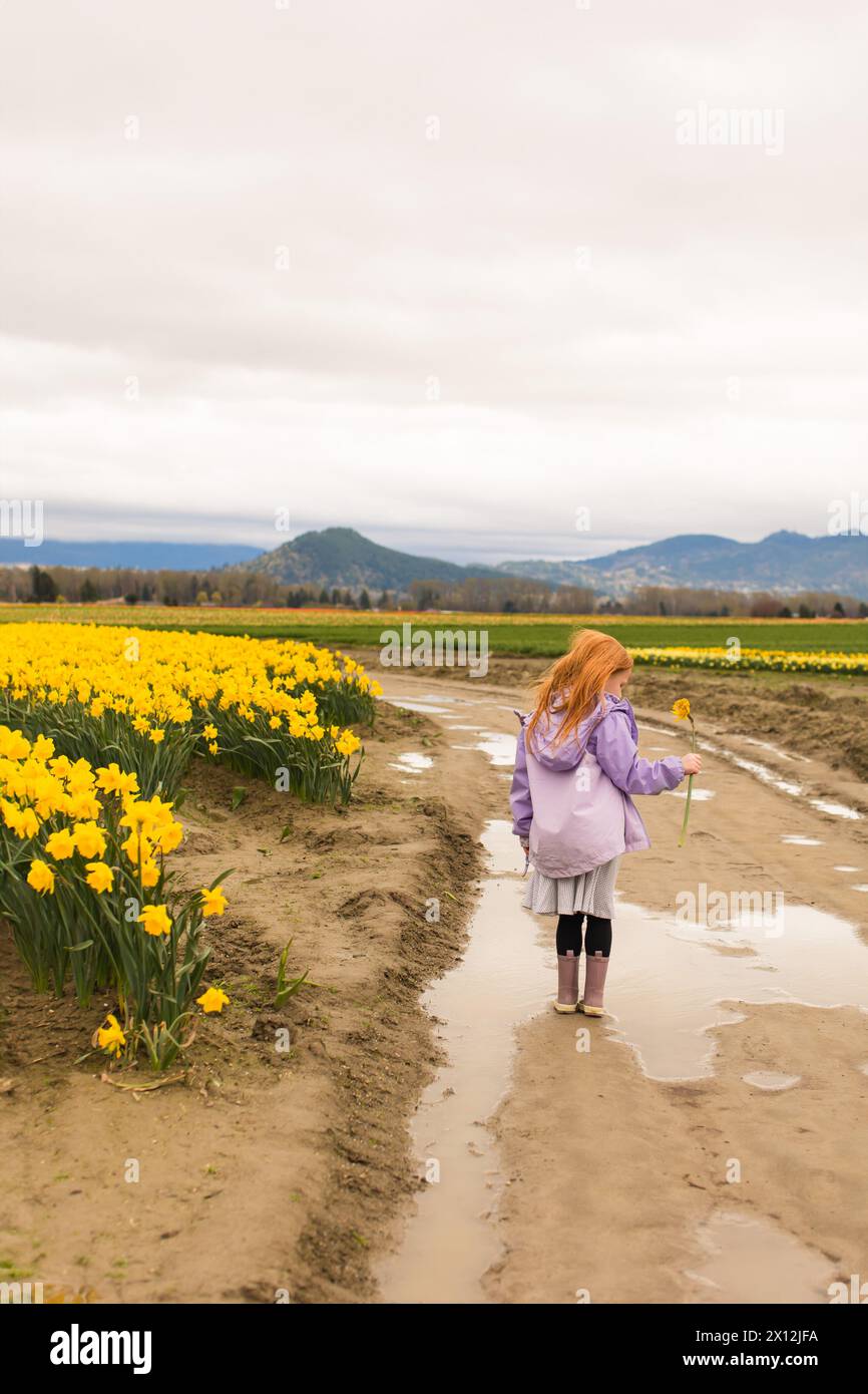 Petite fille debout dans le champ de jonquilles Banque D'Images