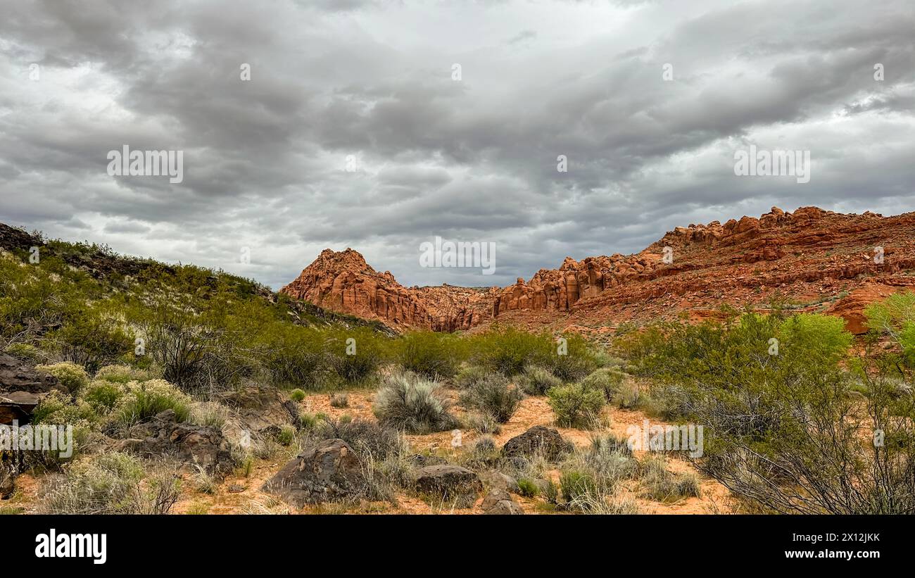 Montagnes de roche rouge derrière la brousse de sauge et la roche de lave noire Banque D'Images