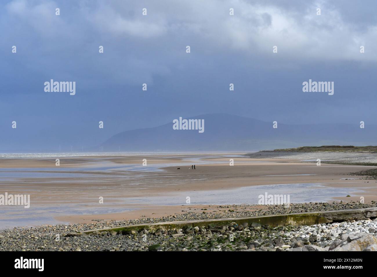 West Shore, Walney Island, Barrow-in-Furness, Cumbria, Royaume-Uni, 15 avril 2024. Météo : sauvage et venteux dans le nord-ouest de l'Angleterre avec un avertissement météo à la place des vents forts et des coups de vent. Deux personnes bravent les conditions pour exercer un chien sur les vastes sables avec la montagne Black Combe qui se profile derrière. Crédit : Paul Biggins/Alamy Live News Banque D'Images